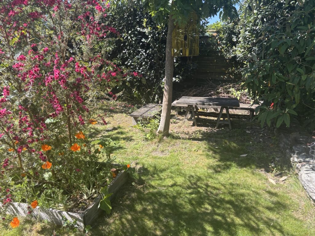 un coin de jardin au premier plan un arbre fleuri et au second plan les banc et la table basse, illustre le lieu verdoyant et paisible où Juliette entrepreneuse écrit chaque matin au lever du soleil