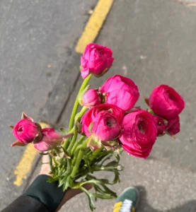 bouquet de fleur colorées